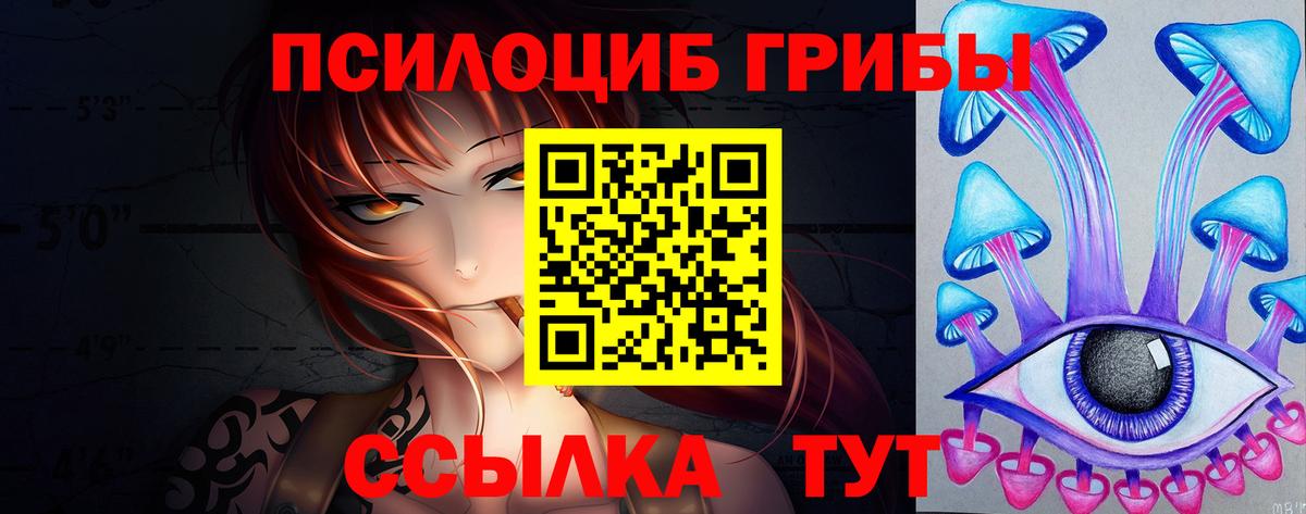 Братск  купить  цена  Вход с VPN  Псилоцибиновые грибы Magic Shrooms  Галлюциногенные грибы мицелий 
